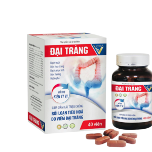 Đại Tràng Vicha Viên uống đại tràng 40 Viên