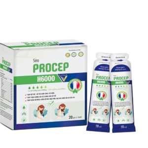 Siro Ho Procep H6000 Vicha Giúp bố phế, hỗ trợ giảm tăng tiết đờm 20 gói
