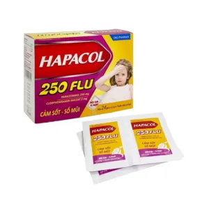 Hapacol 250 Flu DHG Điều trị cảm sốt, sổ mũi (24 gói)