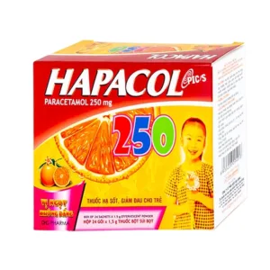 Hapacol 250mg DHG Điều trị giảm đau, hạ sốt (24 gói)