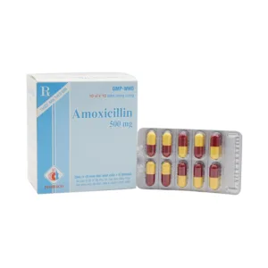 Amoxicillin 500mg Domesco Điều trị nhiễm khuẩn (100 viên)